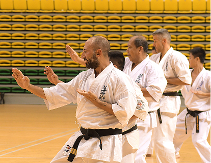 Martial arts training